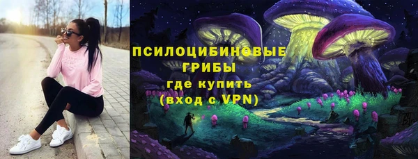 соль ск Армянск