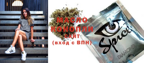 молекула духа Арсеньев