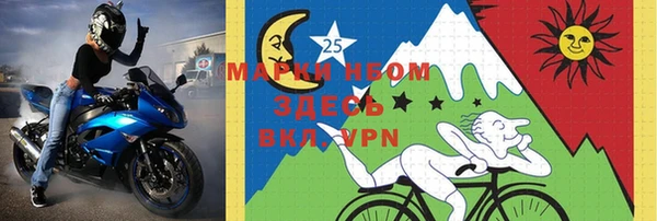 молекула духа Арсеньев