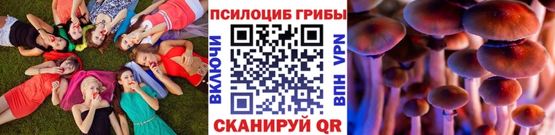 Галлюциногенные грибы Cubensis  OMG ССЫЛКА  Любань 